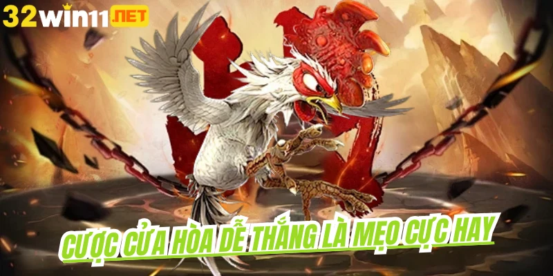 Cược cửa hòa dễ thắng là mẹo cực hay