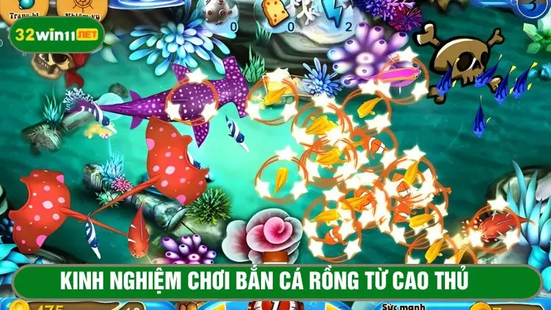 Bắn cá theo đàn để đảm bảo nhắm trúng mục tiêu